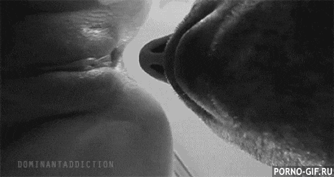 1510455842-image-2.gif