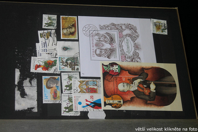 IMG-3534.jpg