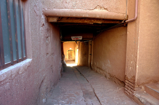 DSC07859