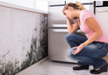 Mold-Removal-in-Toronto