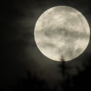 moon-038