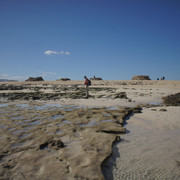 DSC01262