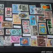 IMG-3660