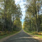 IMG-0530