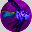 angeli2.png