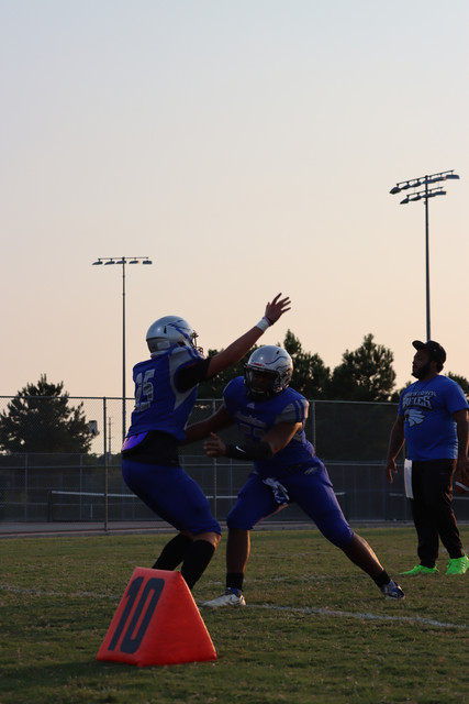 IMG-0249-2