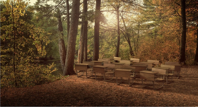 https://i.ibb.co/xGDgTyB/Ecole-foret-2.jpg