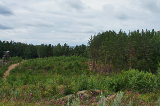 redhill-3