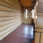 DSCN4167