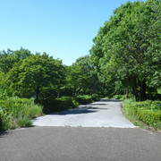 P1340068