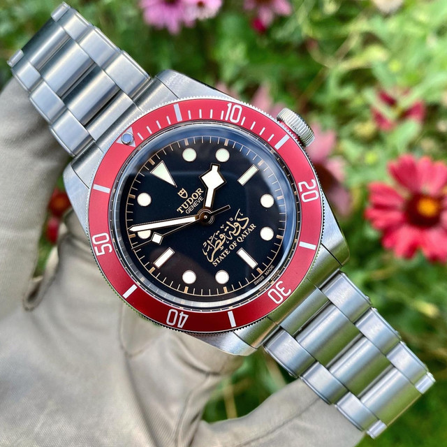 Tudor - Éditions Limitées (dernière mise à jour : août 2025) IMG-20221227-203851