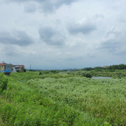 P1330154