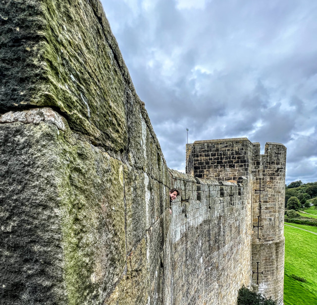 IMG-7399