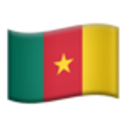 flag-cameroon-1f1e8-1f1f2