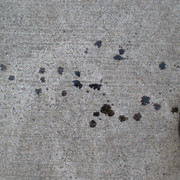 IMG-3819