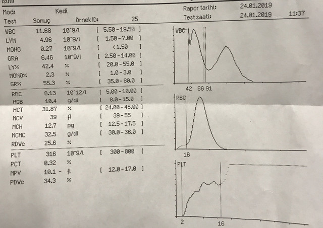 bc1.jpg