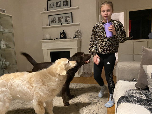 15-E86-A56-185-B-4303-84-FF-561648-A8335