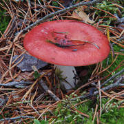 PA010153