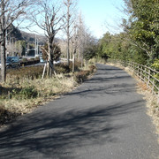 2012-01-06-218