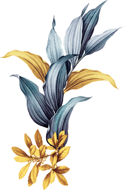 9911c4e2af1bf1614337218ed93cb3b1.png