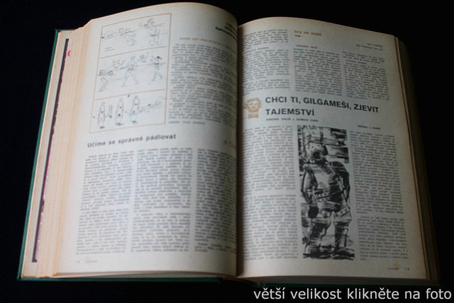 IMG-2464.jpg