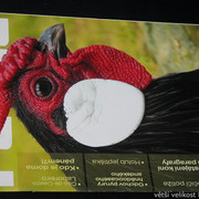 IMG-7744