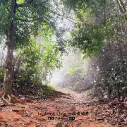 Gunung Lambak6