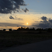IMG 2784