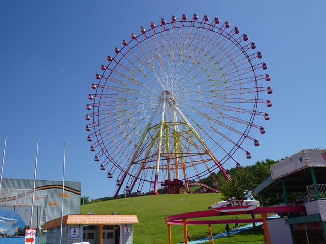 DSC03233.jpg