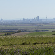 IMG-0287