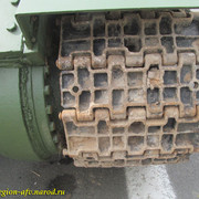 IMG-6305