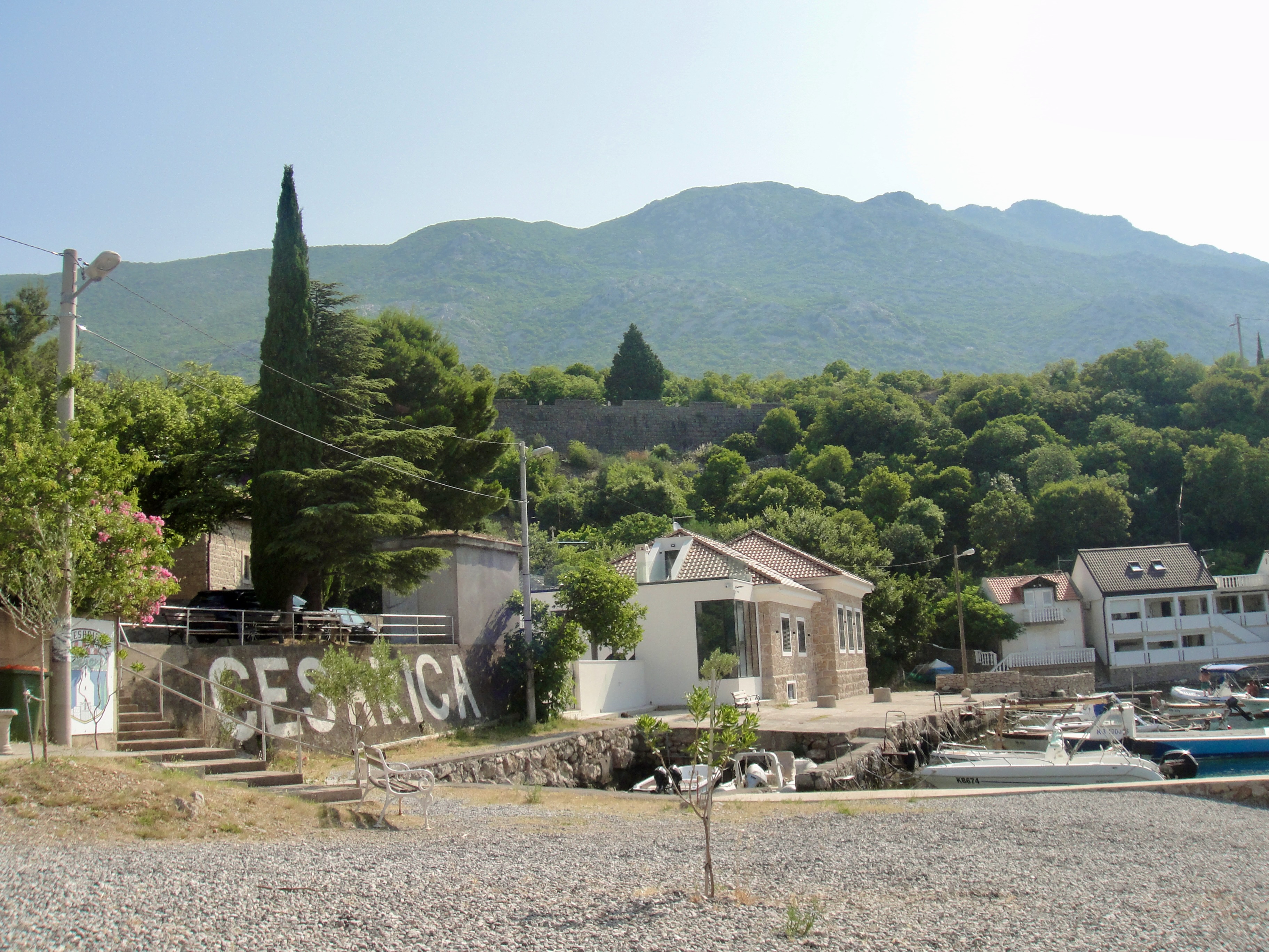 DSC00159-1.jpg