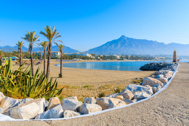 Scenic view of Puerto Ban&uacute;s beach with palm trees and luxury waterfront, showcasing the upscale lifestyle and real estate appeal of Marbella, Spain in 2025.