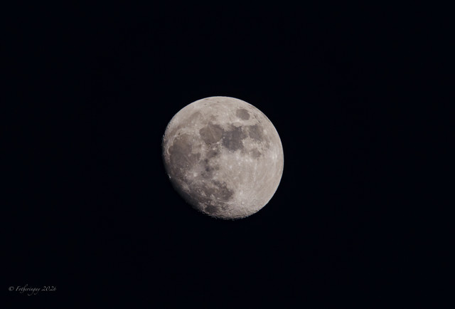 DSF6175.jpg