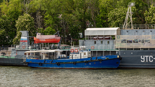 IMG 0459.jpg