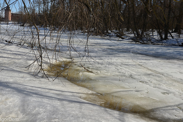 DSC8663.jpg