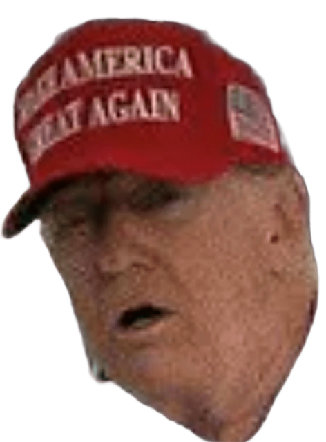 1000008012