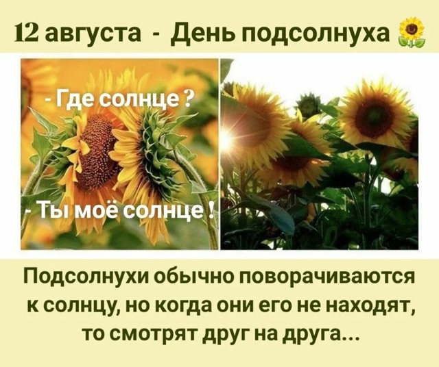 https://i.ibb.co/xKGPcvwS/IMG-1337.jpg