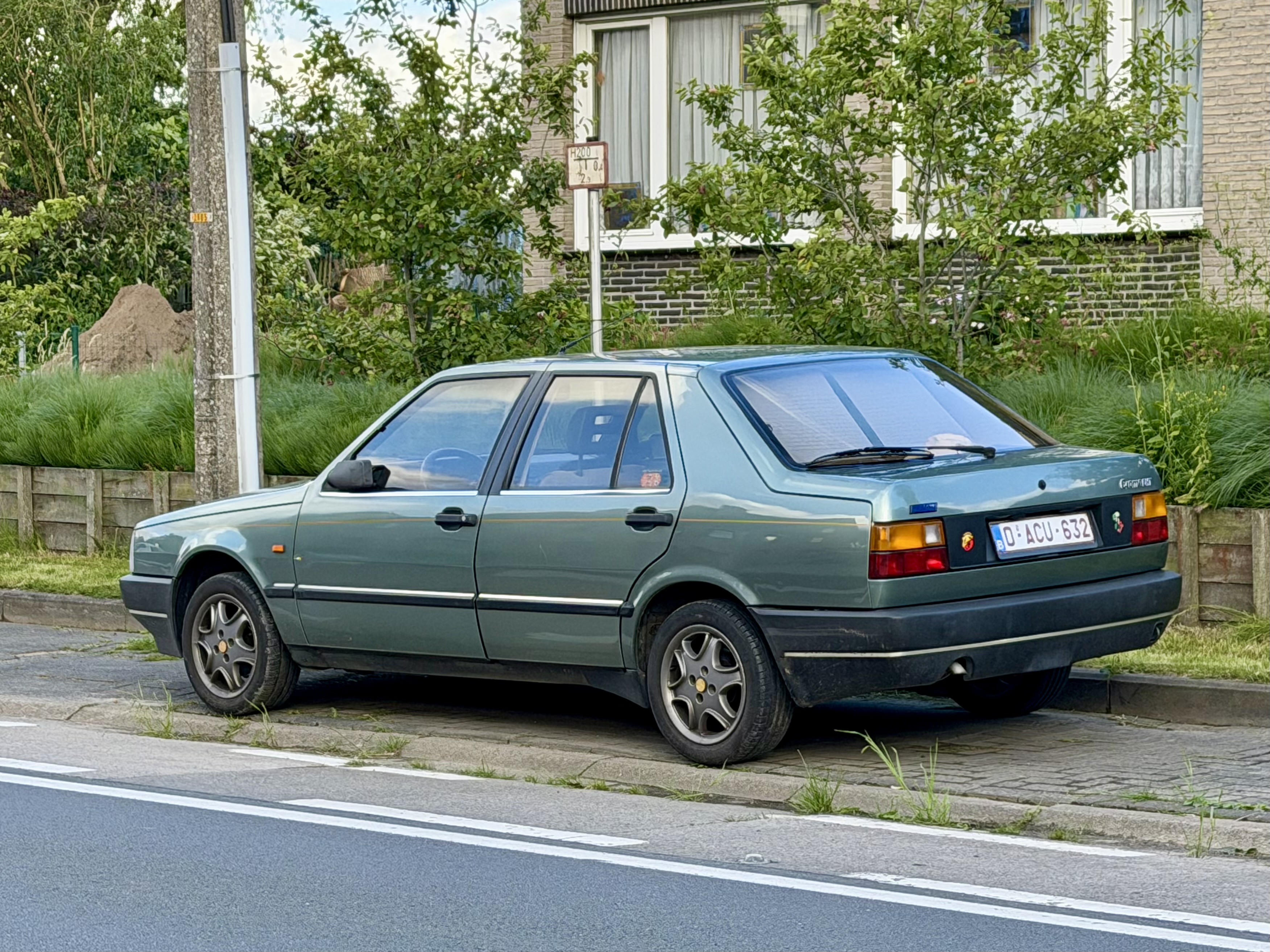IMG-7462.jpg