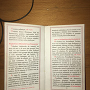 IMG 0180