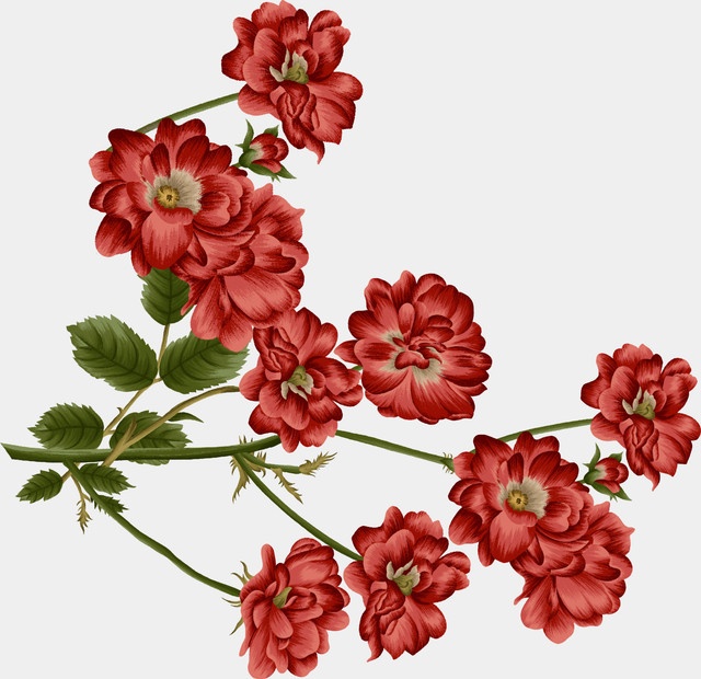 shutterstock 2136355221.jpg