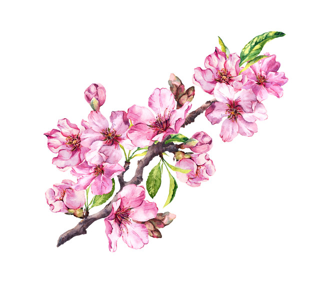 shutterstock 769698079.jpg