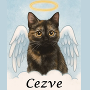 cezve