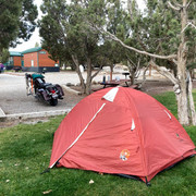 ely koa 2