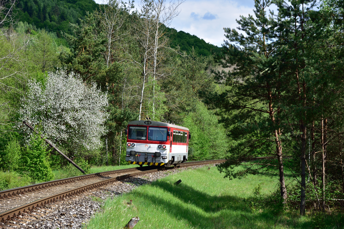 [Bild: 141.jpg]