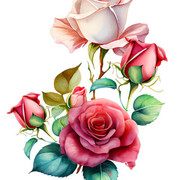 5bdeb2527d4ff0fcd7d5a5f13244dcdc