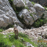 IMG 2668