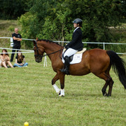 DSC05259