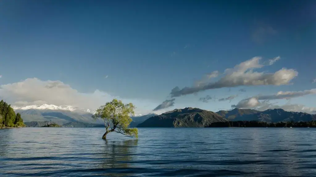 Taurii, în centrul atenției: Patru săptămâni de introspecție și redefinire personală