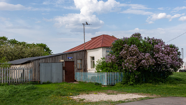 IMG 1156.jpg